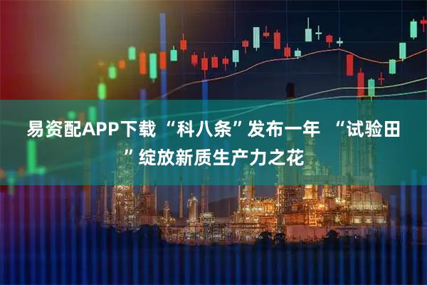易资配APP下载 “科八条”发布一年  “试验田”绽放新质生产力之花