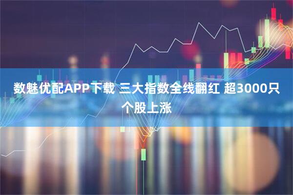 数魅优配APP下载 三大指数全线翻红 超3000只个股上涨