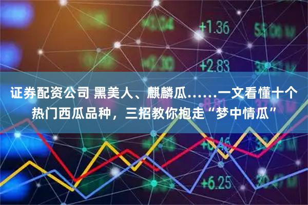 证券配资公司 黑美人、麒麟瓜……一文看懂十个热门西瓜品种，三招教你抱走“梦中情瓜”