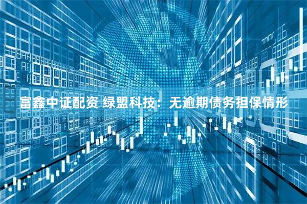 富鑫中证配资 绿盟科技：无逾期债务担保情形