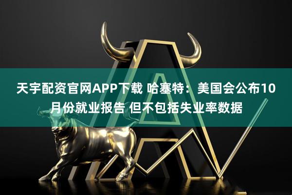 天宇配资官网APP下载 哈塞特：美国会公布10月份就业报告 但不包括失业率数据