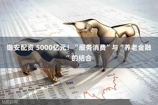 锴安配资 5000亿元！“服务消费”与“养老金融”的结合